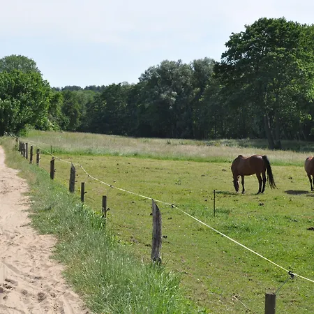 Hotel Am Gothensee 3*