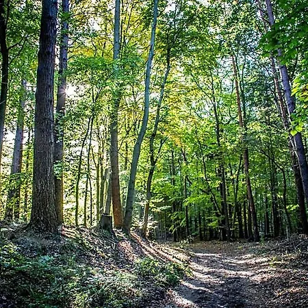 Am Gothensee Ξενοδοχείο Χέρινγκσντορφ