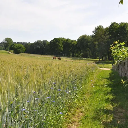 Hotel Am Gothensee 3*