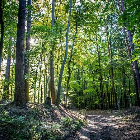 Am Gothensee Hotel 3*