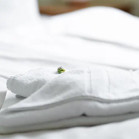 Am Gothensee Hotel 3*